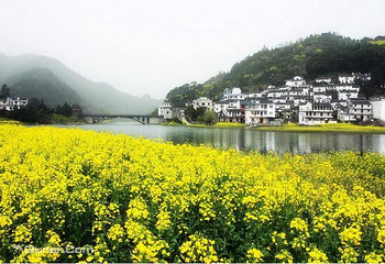 蜀源村第 1 张图片