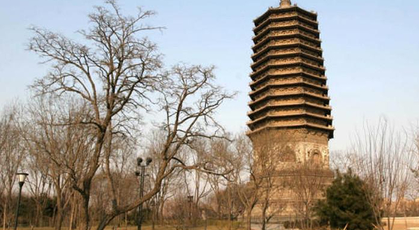 慈寿寺塔