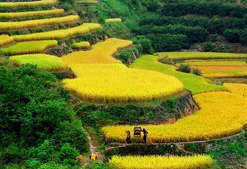 梅州市雁山湖国际花园度假区第 4 张图片