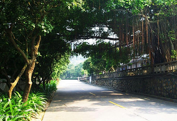 江门古兜温泉小镇温泉谷第 19 张图片