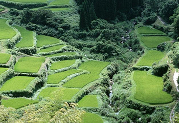 广东第一峰旅游风景区第 3 张图片