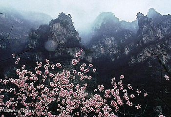 神农山风景区第 28 张图片