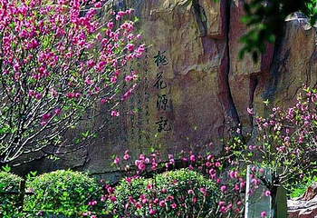 桃花涧第 16 张图片