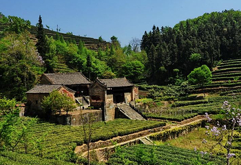 八仙观第 1 张图片