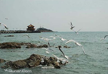 太公岛风景区第 6 张图片