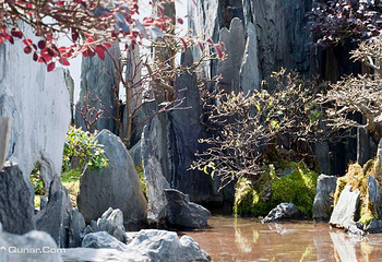鲍家花园第 29 张图片