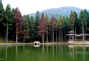 关山森林公园第 1 张图片