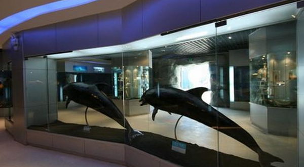 水生野生动物救治中心