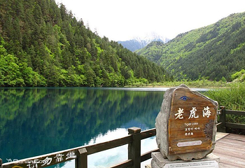 老虎海第 1 张图片