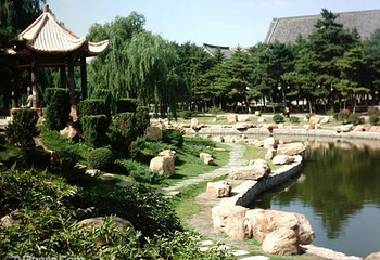 枯枝牡丹园第 2 张图片