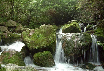 红河谷森林公园第 26 张图片