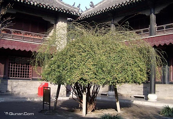 观水园第 1 张图片
