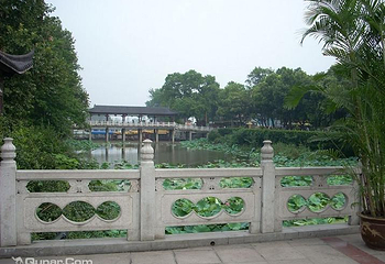 大金山第 2 张图片