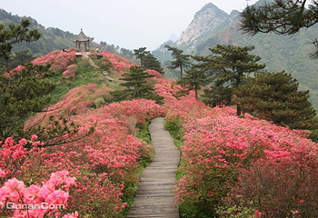 龟峰山景区第 7 张图片