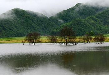 大九湖国家湿地公园第 46 张图片