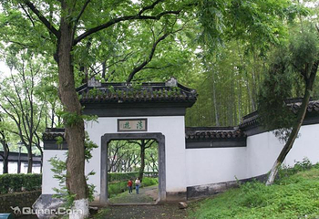 亭林园第 6 张图片