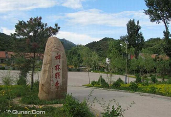 禅林寺古银杏风景园第 3 张图片