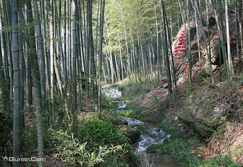 黄金沟森林旅游景区第 5 张图片