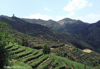 茶山金字塔第 3 张图片