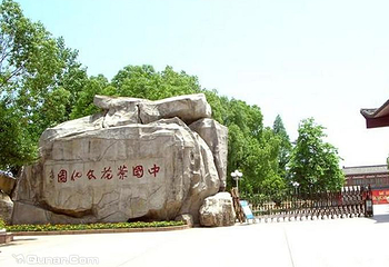 中国茶花文化园第 1 张图片