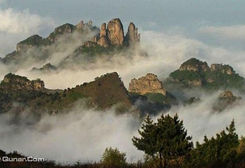 王莽岭风景区第 2 张图片