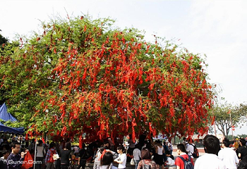 莲花山旅游区第 28 张图片