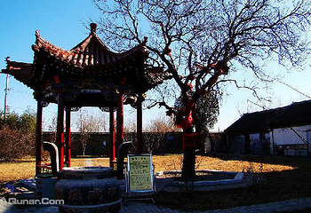 净觉寺第 4 张图片