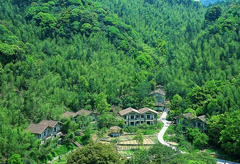 白水仙风景名胜区第 5 张图片