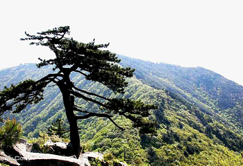 大别山主峰景区白马尖第 15 张图片