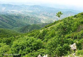 都山第 1 张图片