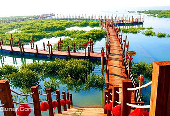北海金海湾红树林生态旅游区第 5 张图片