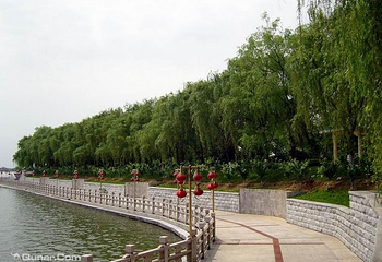 涪龙苑旅游景区第 1 张图片