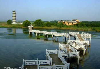 溱湖湿地农业生态园第 6 张图片