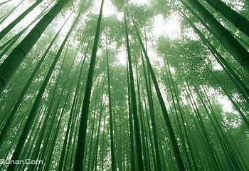 西九华山景区第 12 张图片
