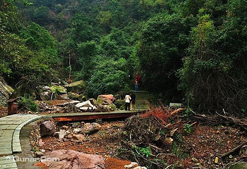 九峰山网岙景区第 2 张图片