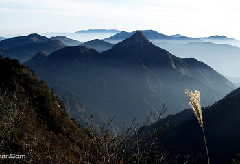 鄣山大峡谷第 39 张图片