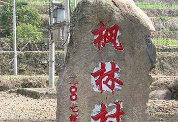 枫林村第 1 张图片