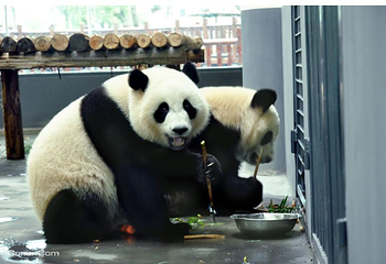 长沙生态动物园第 14 张图片