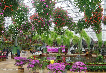 江阴嘉茂国际花鸟园第 4 张图片