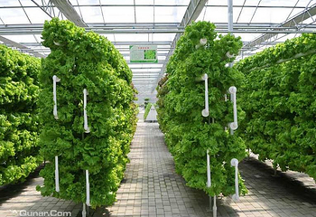 泰山花样年华景区第 2 张图片