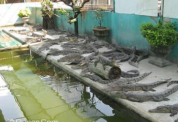 加勒比海湾第 6 张图片
