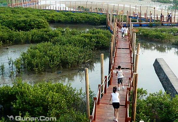 北海金海湾红树林生态旅游区第 3 张图片