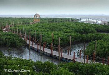 北海金海湾红树林生态旅游区第 4 张图片