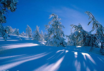 弓长岭温泉滑雪场第 8 张图片