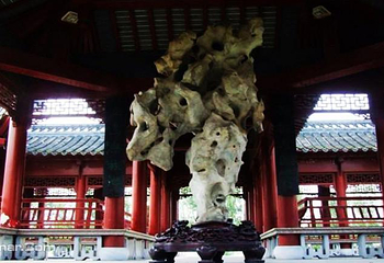 龙川盆景艺苑第 15 张图片