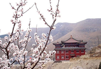 广福寺第 2 张图片