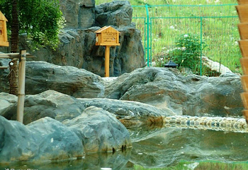 韦岗温泉第 3 张图片