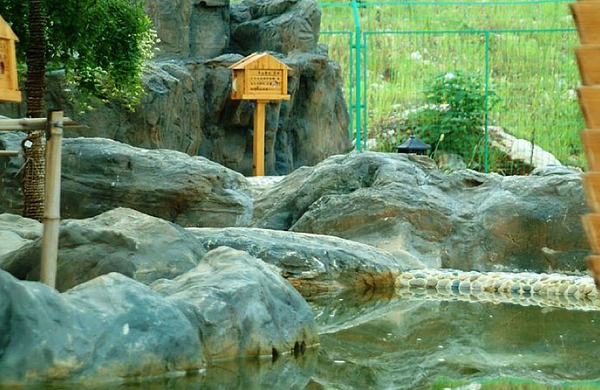 【电子票,当天可订】韦岗温泉成人票