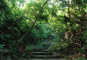 园山风景区第 10 张图片
