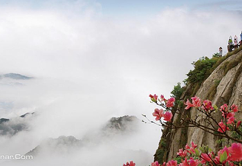 西九华山景区第 15 张图片